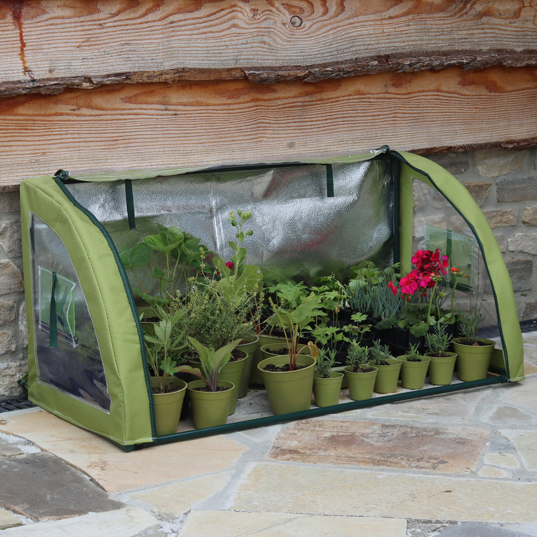 Haxnicks 39.3" W x 19.7" D Light-Booster Cold Frame Greenhouse Tierra Garden