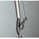 Tolomeo Table Lamp
