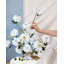 Ensemble de dahlia 17 po-86903292