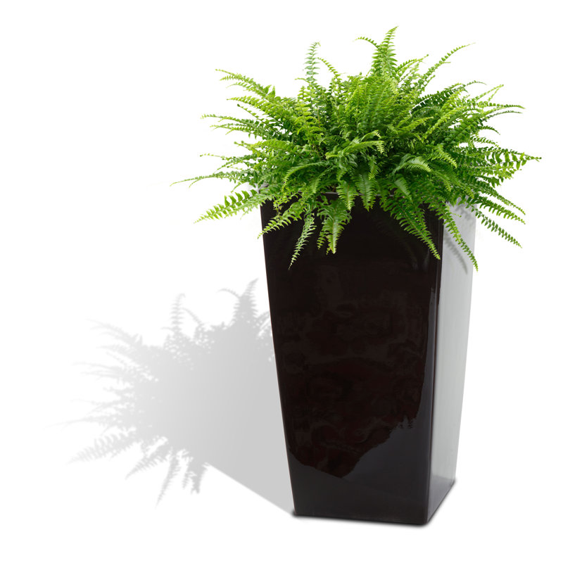 Byrum Plastic Self-Watering Indoor/Outdoor Pot Planter, High Gloss Black, 21.5" H x 11" W x 11" D
