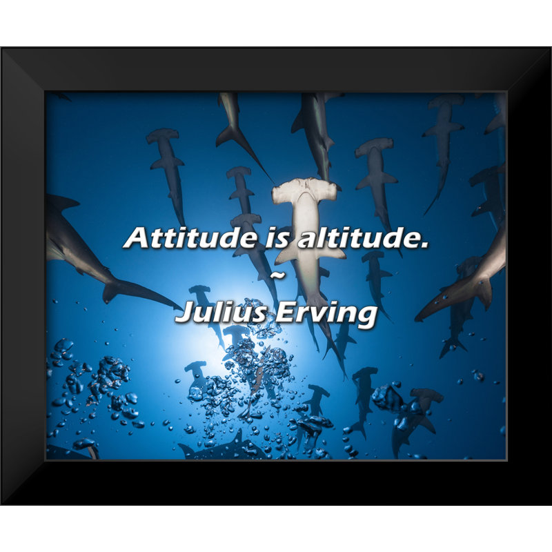 Julius Erving Quote: Attitude is altitude.
