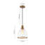 Luminaire suspendu en forme de dôme en verre transparent à 1 lumière