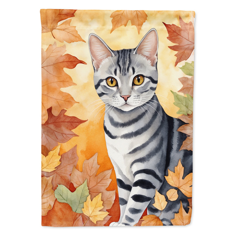 Chat en feuilles d'automne, American Shorthair