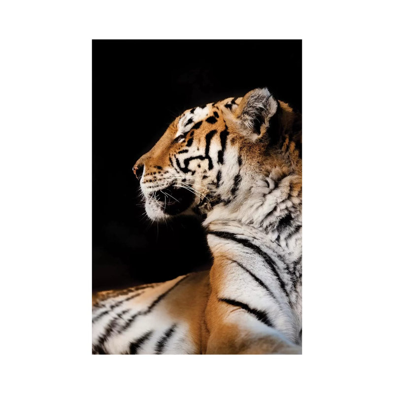 Tiger I by Goran Anastasovski - Wrapped Canvas Print, 20.32 cm H x 30.48 cm W