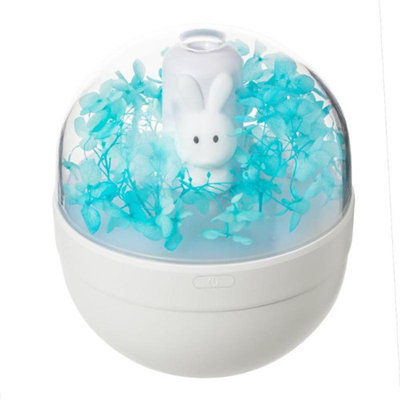 Humidificateur sans fil 220 ml
