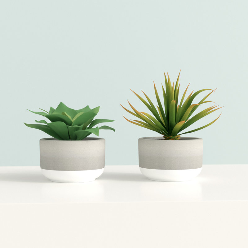5 " H Faux Yucca Succulent in Cement Pot