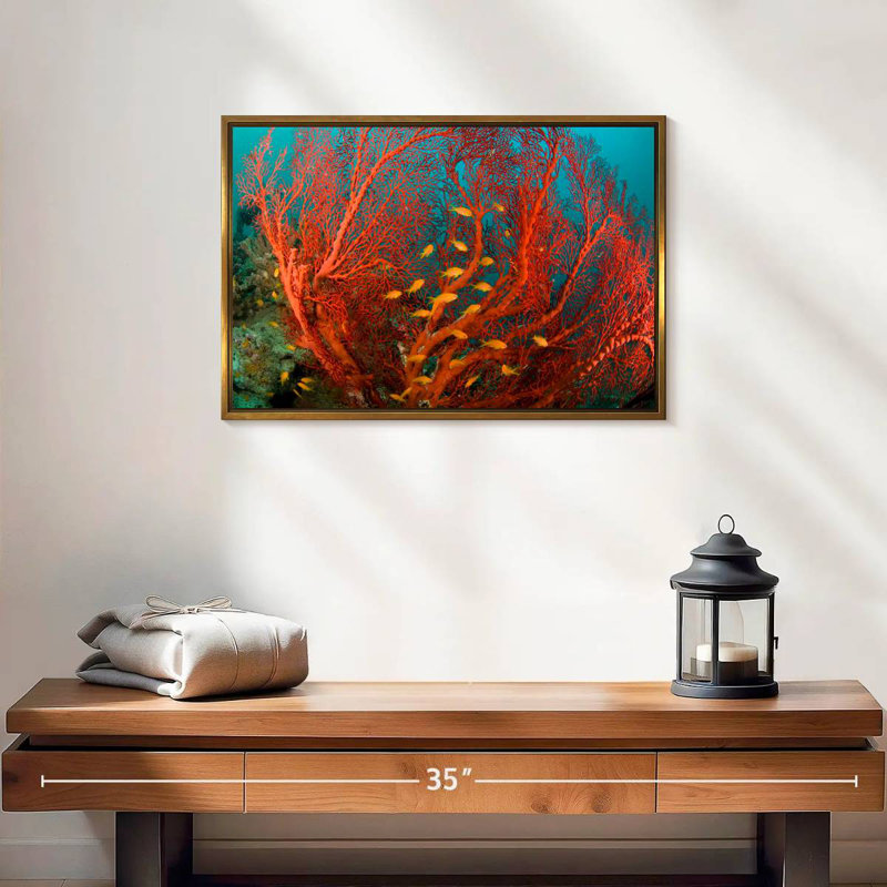 Corail de feu, 19 po x 13 po, Cadre flottant doré