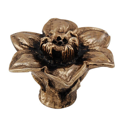 Carlotta Novelty Knob
