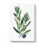Olive Tree Flowers Illustration - Wrapped Canvas Painting-55360569