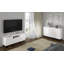 Alexyia TV Stand for TVs up to 60"-1975907444