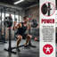 Ensemble de banc de musculation professionnel All-In-1 - Système de gymnastique à domicile complet d'une capacité de 900 lb