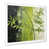 Cadre simple blanc