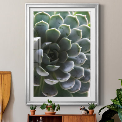 Zen Succulent I by Irene Weisz - Matted and Framed Under Acrylic Glass, Large Living Room Wall Art
