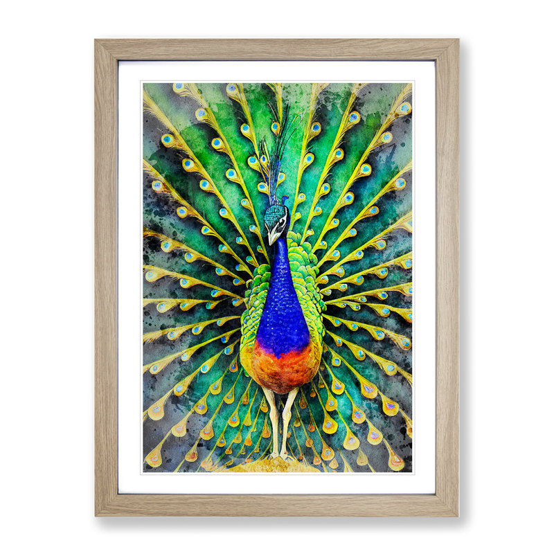 Peacock Watercolour No.1 - Wall Art, 66cm H x 48cm W, Oak Framed Paper, White