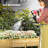 Padmore Wood Planter Box