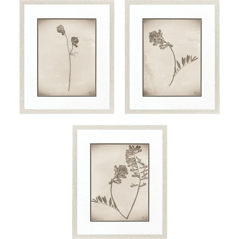 Wildflower Stems II Framed Art