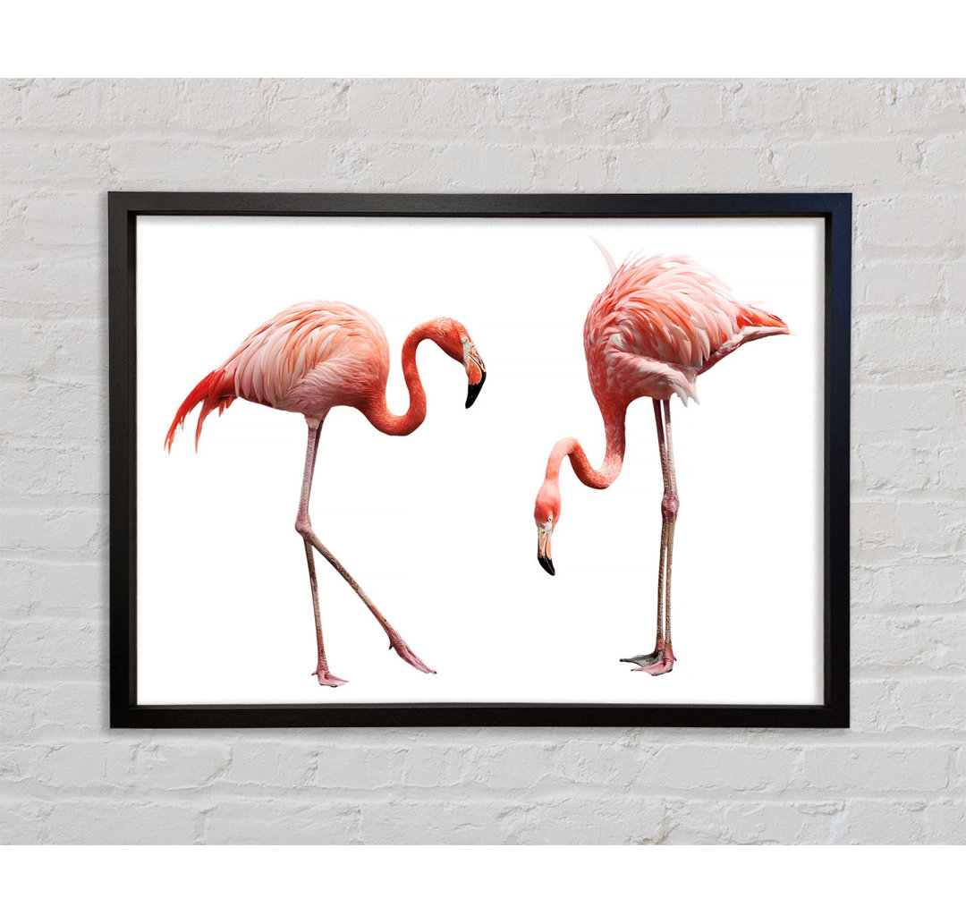 Rosa Flamingo Duo - Einzelbildrahmen Kunstdrucke auf Leinwand