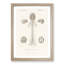 Human Brain Illustration by Charles d'Orbigny - Picture Frame Drawing Print-55578943-55578940