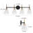 Daizjah 4 - Light Dimmable Vanity Light-91754750
