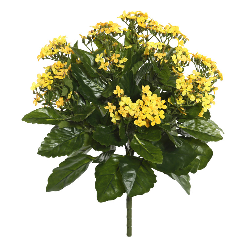 Kalanchoe Stem, Yellow, 15" H x 10" W x 10" D