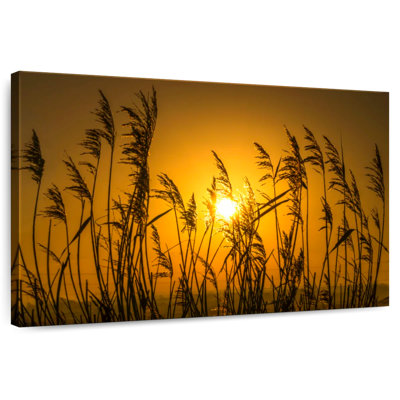Alvord Golden Light Over The Reeds