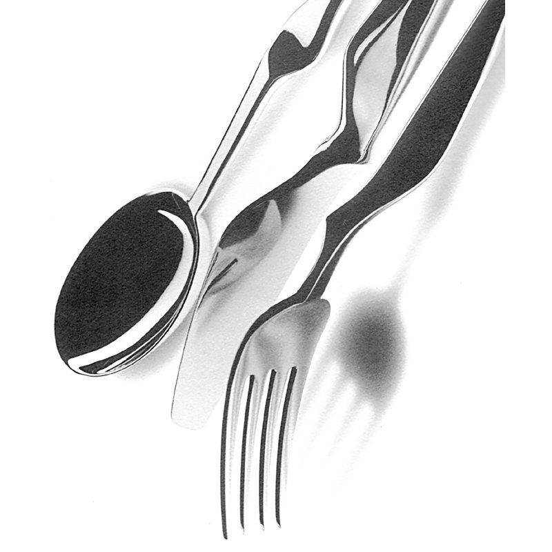 Ergonomica 5 - Piece Stainless Steel Flatware Set - Service for 1