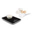 Princess Kitchen Scales 10kg