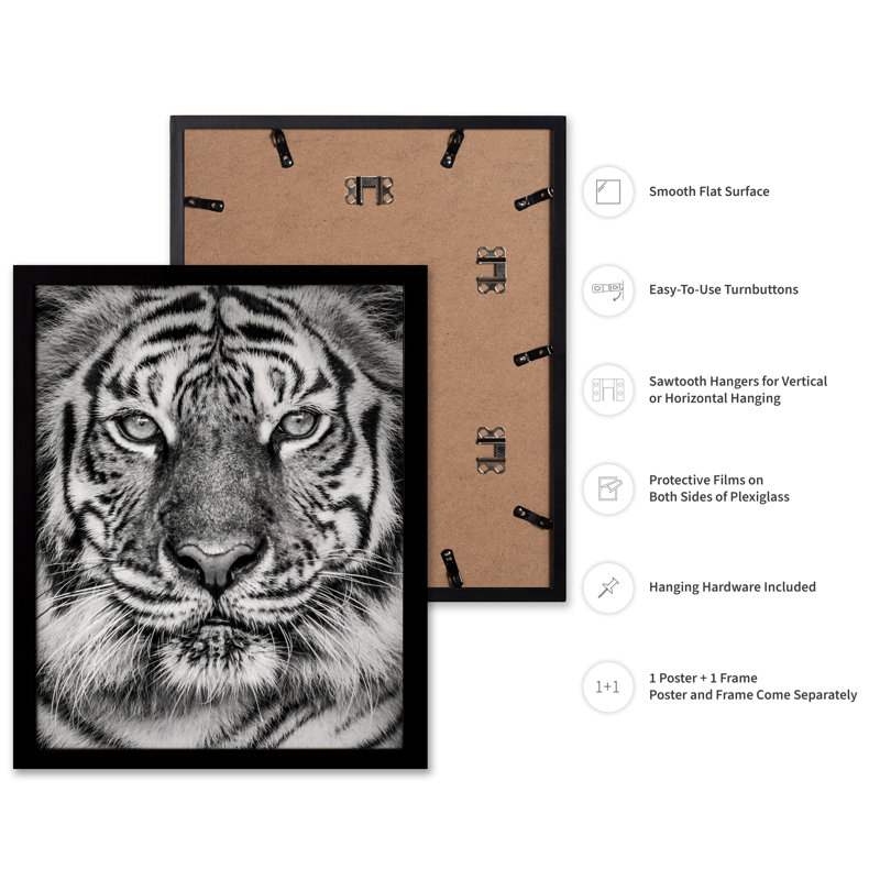 Tigre n ° 2, Cadre noir, Affiche, H 08 po x l 10 po