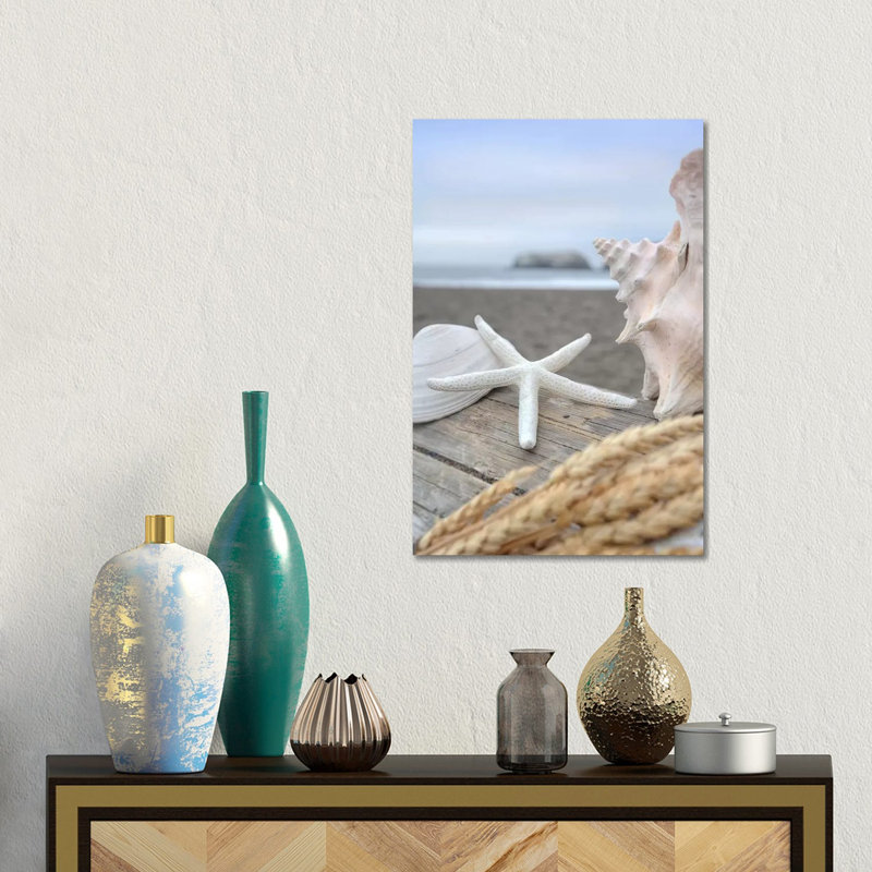 Crescent Beach Shells XII 1 Piece Wall Art on Canvas, 101.6 cm H x 66.04 cm W x 3.175 cm D, Wrapped Canvas