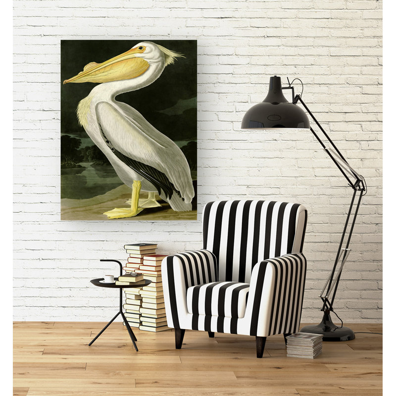 American White Pelican by John Audubon - Wrapped Canvas Painting, 80cm H x 60cm W x 4cm D
