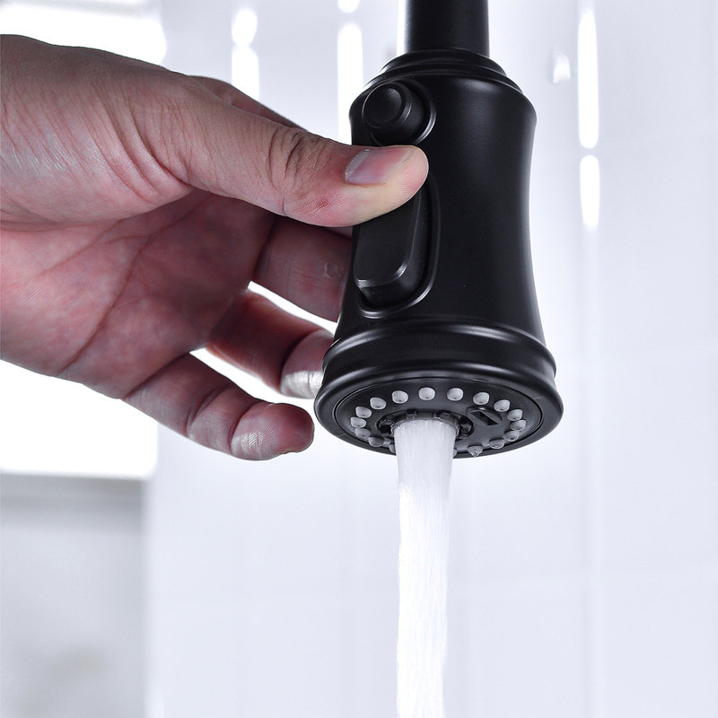 Bridge Kitchen Faucet With Pull-Down Sprayhead In Spot, Matte Black