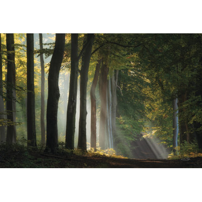 Chemin de lumière