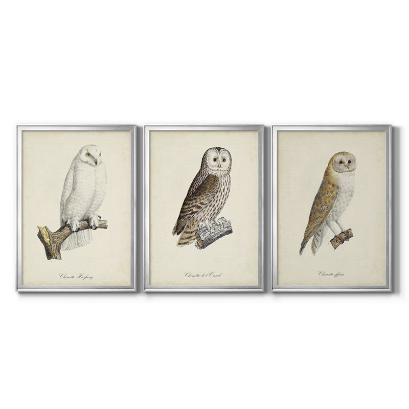 French Owls IV - Toile tendue avec châssis sur mesure - 3 pièces, Argent argent, H 19 po x l 27 po