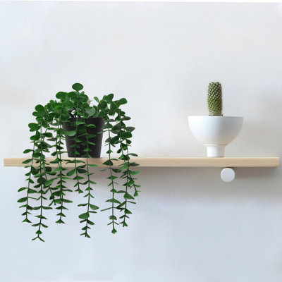 Pot décoratif Cisneros