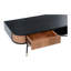 Aster Storage Coffee Table