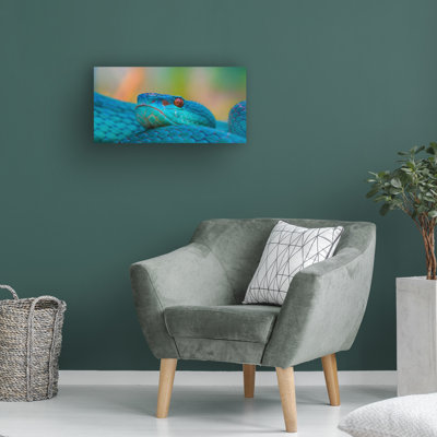 Art sur toile «Bachelor Sabriamin M I'm Ready»