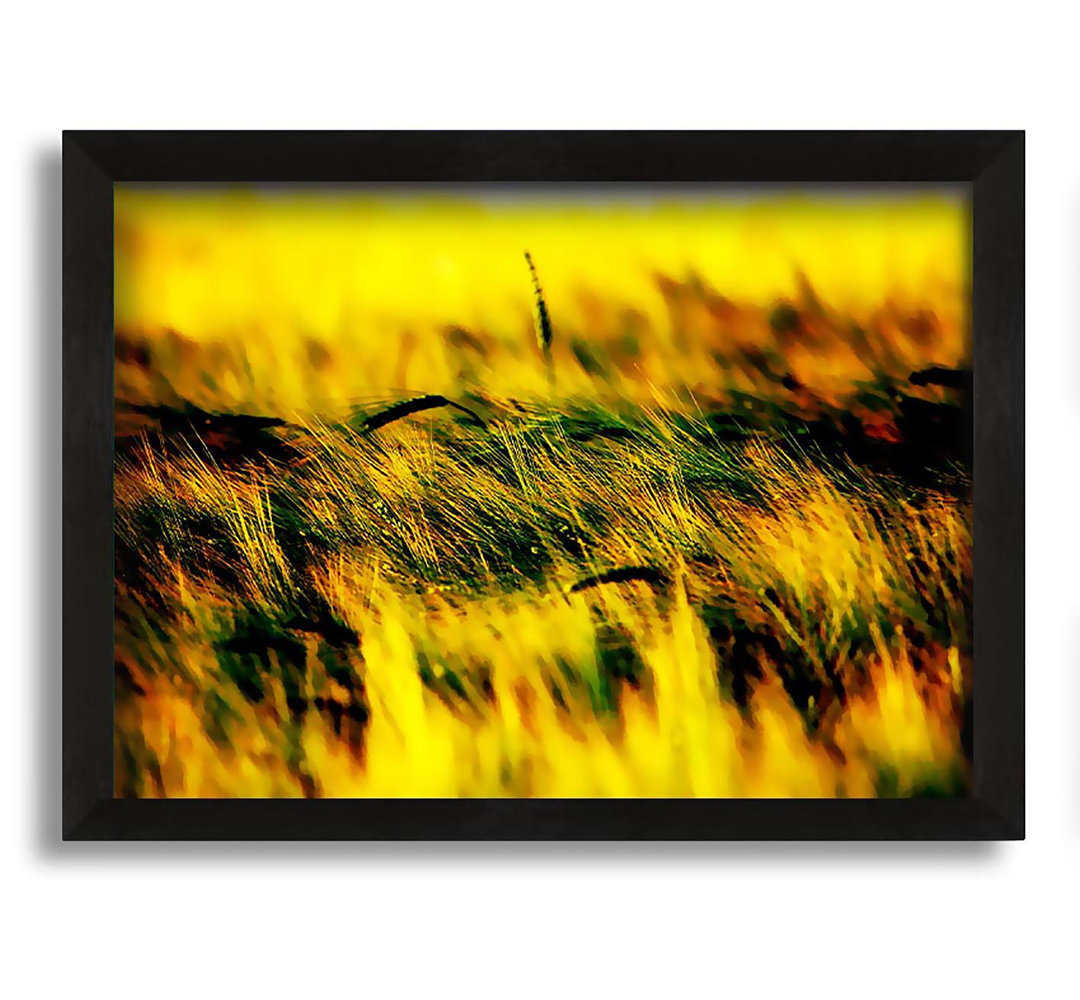 Gerahmtes Wandbild Wheatfield Yellow