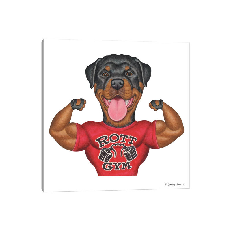 Rottweiler chamois, H 12 po x l 12 po x P 0,75 po