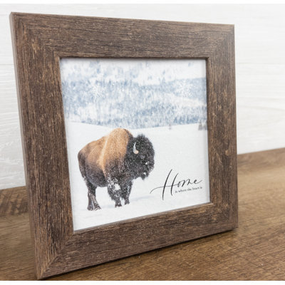 Home is Where the Heart is Buffalo - Single Picture Frame Photograph