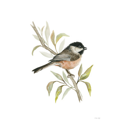 " Chickadee Songbird " by Cindy Jacobs