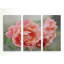 " Cottage Climber " 3 - Pieces-23818376