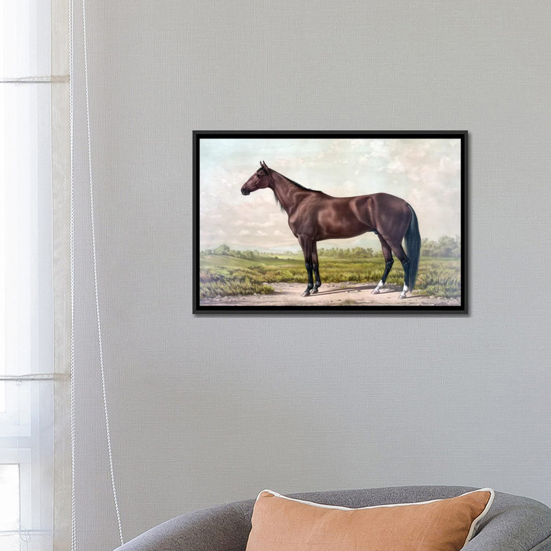 « cheval i », impression sur toile, H 18 po x l 26 po x P 1,5 po, Toile avec cadre noir, Pas de tapis
