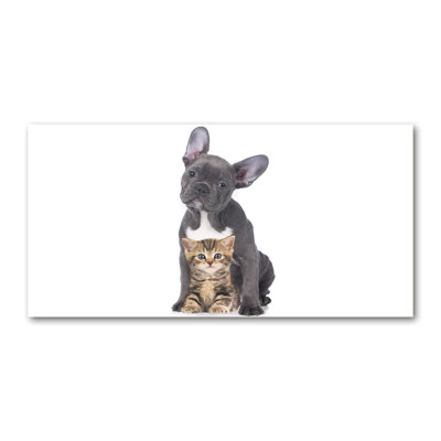Dog And Cat - Wrapped Canvas Print