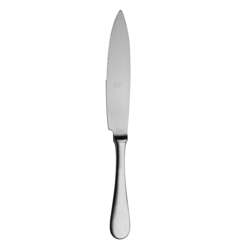 STEAK KNIVES 4 - Piece Stainless Steel Steak Knife Set, Ice Silver