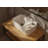 Cheviot Products 15.75'' White Vitreous China Rectangular Bathroom Sink