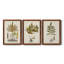 Fern Botanical I - Ensemble de 3 peintures sur toiles encadrées-772660934-772660936
