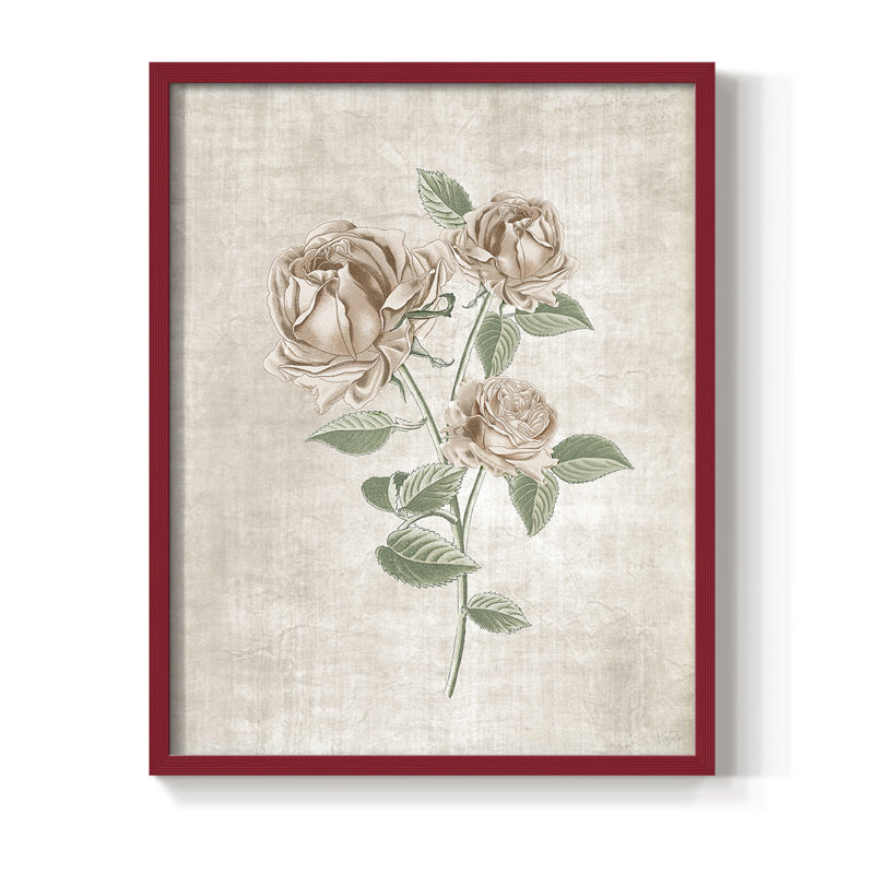 «Blush Rose Botanical II», reproduction encadrée - bois massif, H 11 po x l 9 po, Rouge
