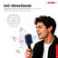 Microphone rétro dynamique à 5 cœurs emblématique de style rétro cardioïde classique