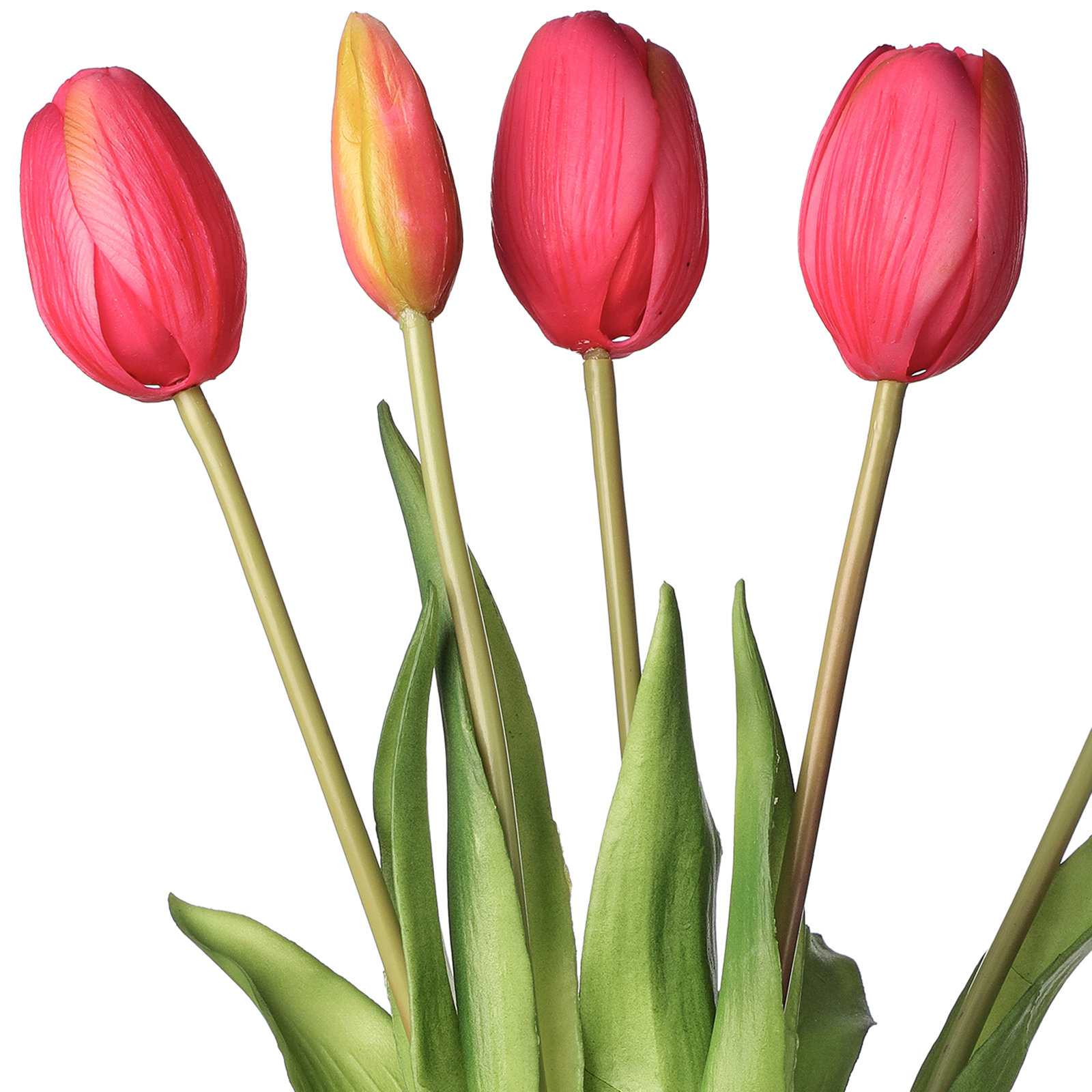 Tulip Floral Stems, Hot Pink