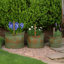 Pot à fleur style tulipe intérieur / extérieur Dervil